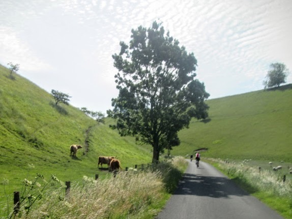 The quiet lanes of the Yorkshire Wolds Cycle Route